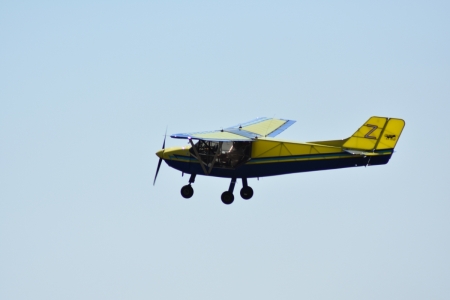 L'oiseau jaune et bleu